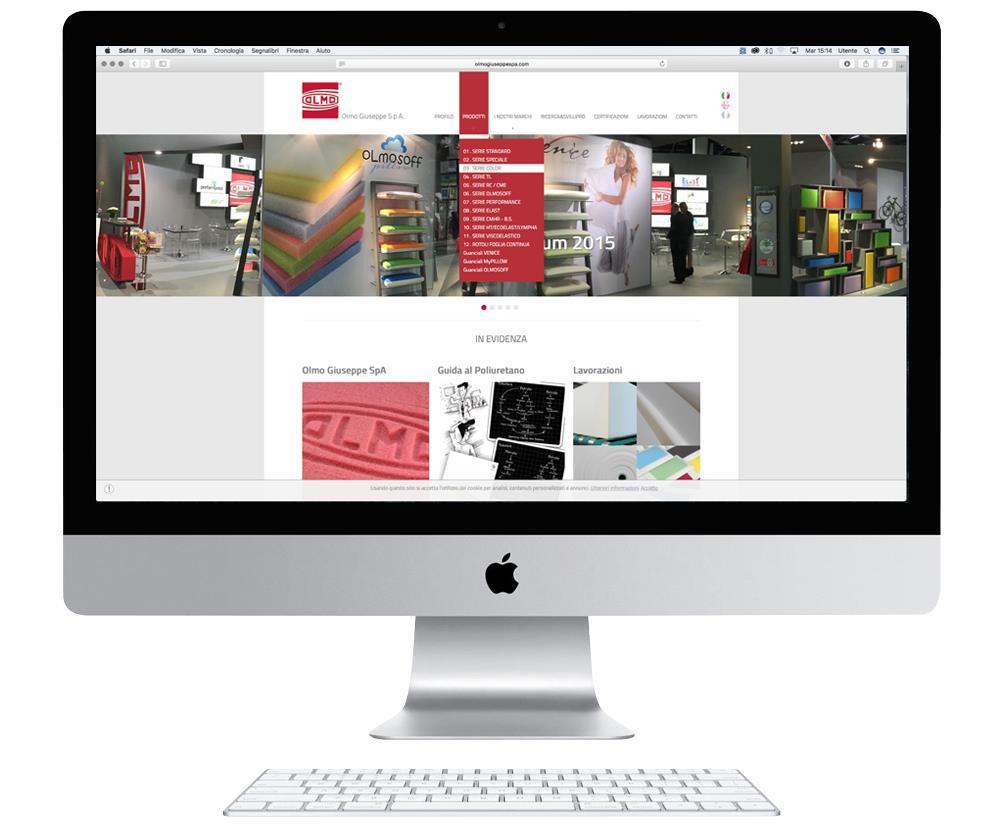 Responsive Website | Graphic Layout 2