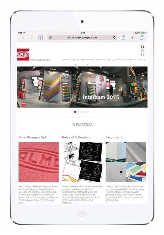 Responsive Website | Graphic Layout 4